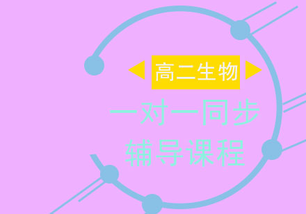 高二生物一对一同步辅导课程
