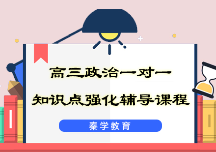 高三政治一对一知识点强化辅导课程