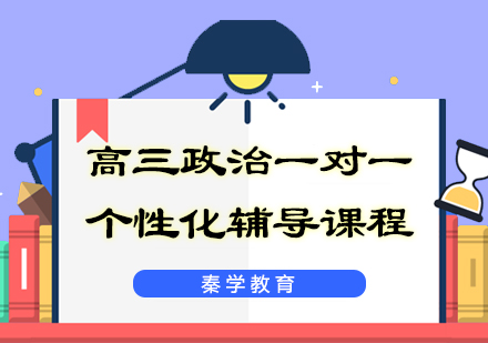 高三政治一对一个性化辅导课程