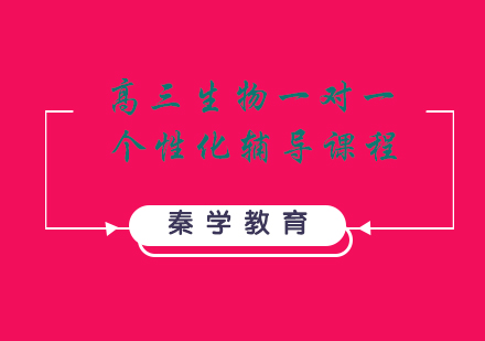 高三生物一对一个性化辅导课程
