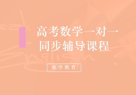 高考数学一对一同步辅导课程
