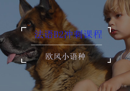 法语B2冲刺