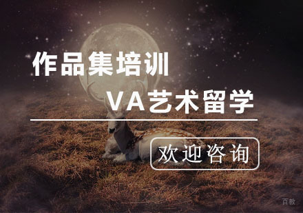 杭州VA艺术留学_杭州作品集培训