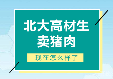 北大高材生卖猪肉现在怎么样了