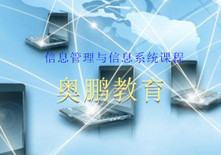 信息管理与信息系统课程