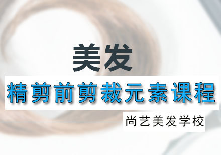 广州精剪前剪裁元素课程
