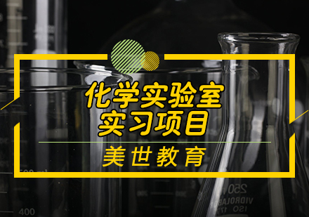 天津背景提升化学实验室实习项目