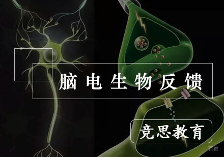 杭州竞思教育_杭州脑电生物反馈
