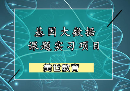 天津基因大数据课题实习项目