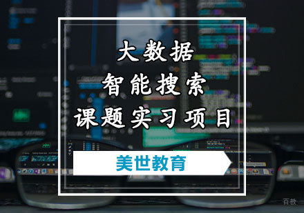 天津大数据智能搜索课题实习项目