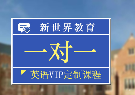 上海英语VIP一对一定制课程