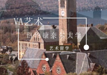 康奈尔大学申请条件_重庆va国际艺术教育