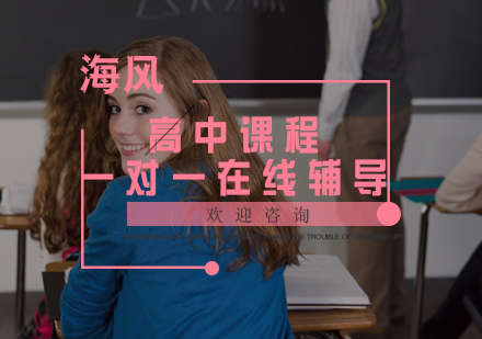 高中课程一对一在线辅导