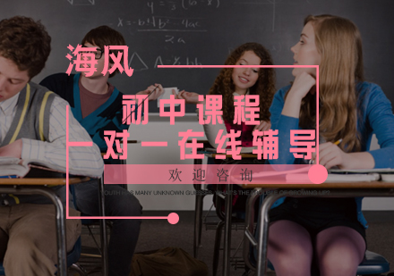 初中课程一对一在线辅导