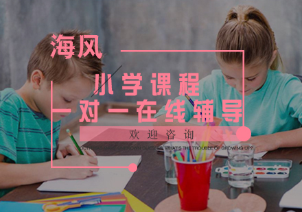 小学课程一对一在线辅导