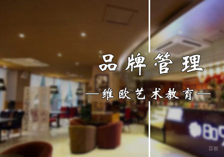 北京维欧艺术教育_北京品牌管理专业