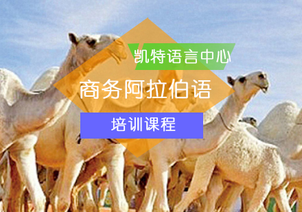 北京商务阿拉伯语培训课程