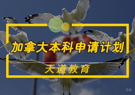 天津加拿大本科申请计划