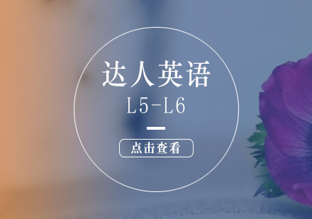 上海达人英语L5-L6