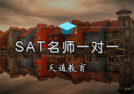 天津SAT一对一