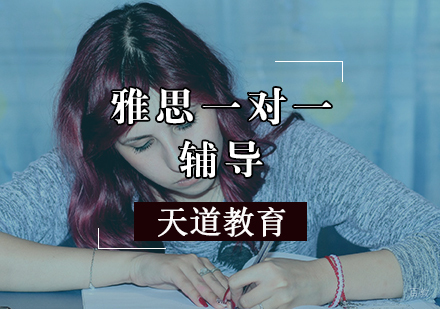天津雅思一对一辅导班