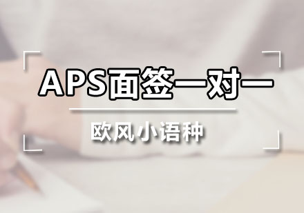 广州APS面签一对一课程