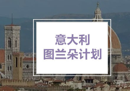 意大利图兰朵计划
