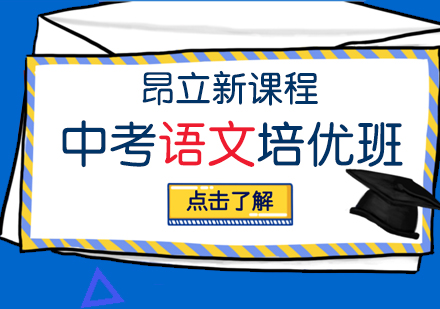中考语文复习班