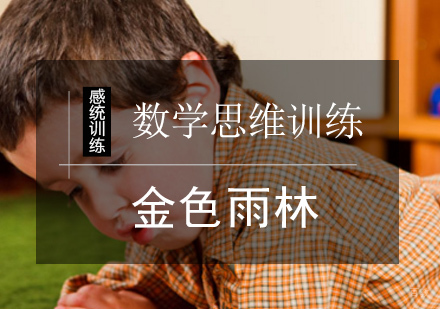 北京数学思维训练课程