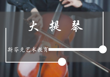 北京音乐留学大提琴培训