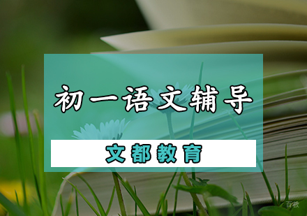 天津初一语文辅导课程