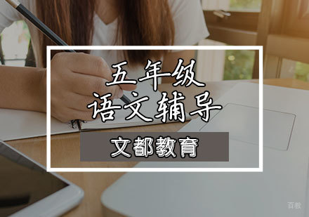 天津五年级语文辅导课程