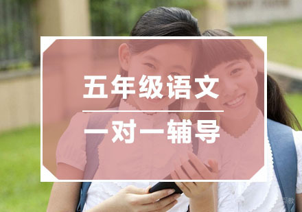 杭州小学五年级语文一对一辅导