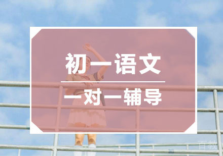 杭州初一语文一对一培训