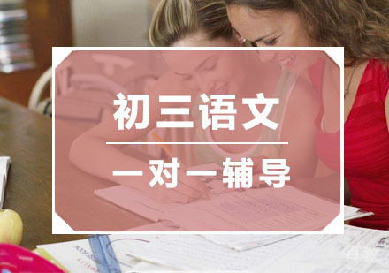 杭州初三语文培训