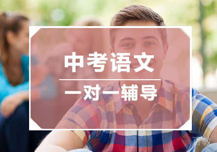 杭州中考语文培训