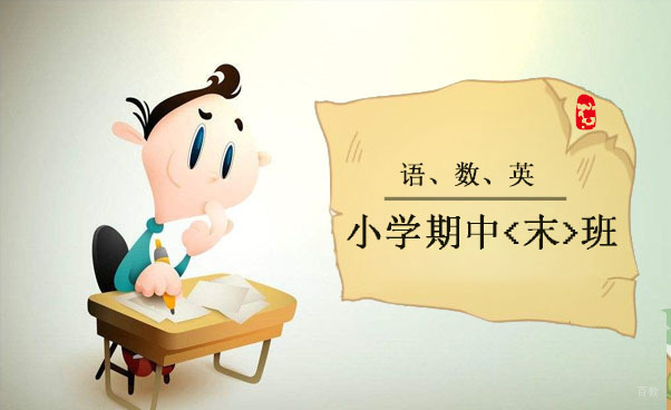 上海小学一至三年级1对1期中期末高效备考辅导班
