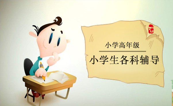 上海小学四至六年级各科辅导课程
