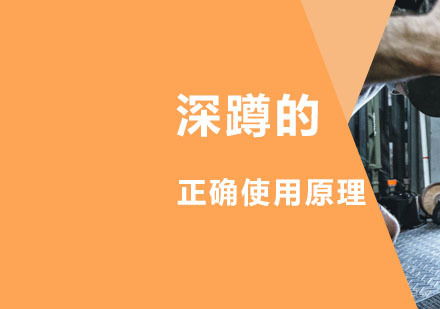 健身干货：深蹲是练腿还是练臀