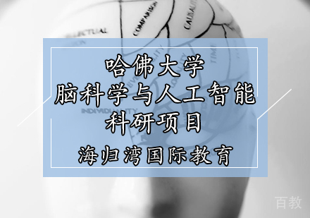 天津哈佛大学脑科学与人工智能考研项目