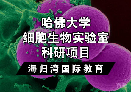 天津哈佛大学细胞生物实验室科研项目