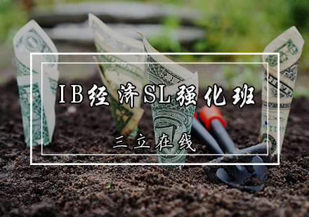 天津国际课程IB经济SL强化班