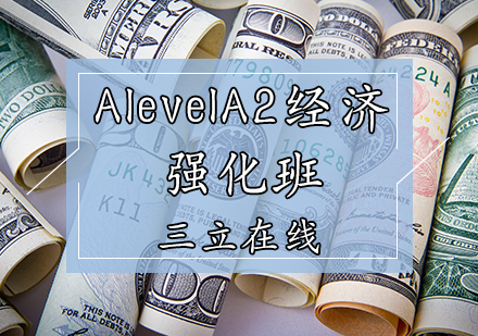 天津AlevelA2经济强化班