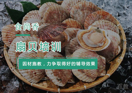 杭州扇贝培训