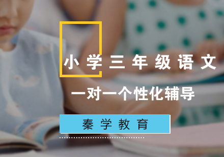 小学三年级语文一对一辅导冲刺课程