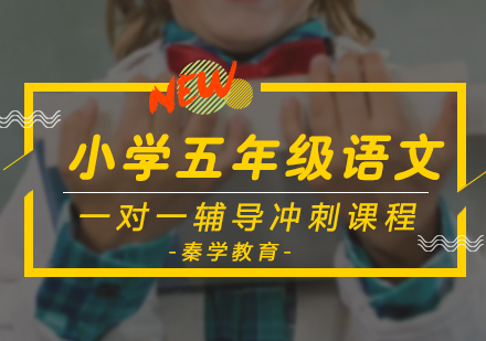 小学五年级语文一对一辅导冲刺课程