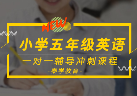 小学五年级英语一对一辅导冲刺课程