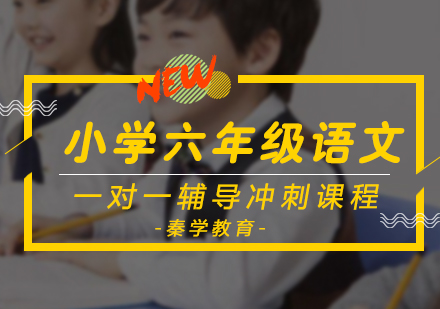 小学六年级语文一对一辅导冲刺课程