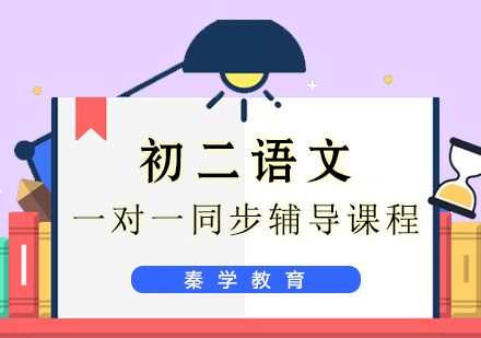 初二语文一对一同步辅导课程