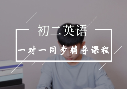 初二英语一对一同步辅导课程